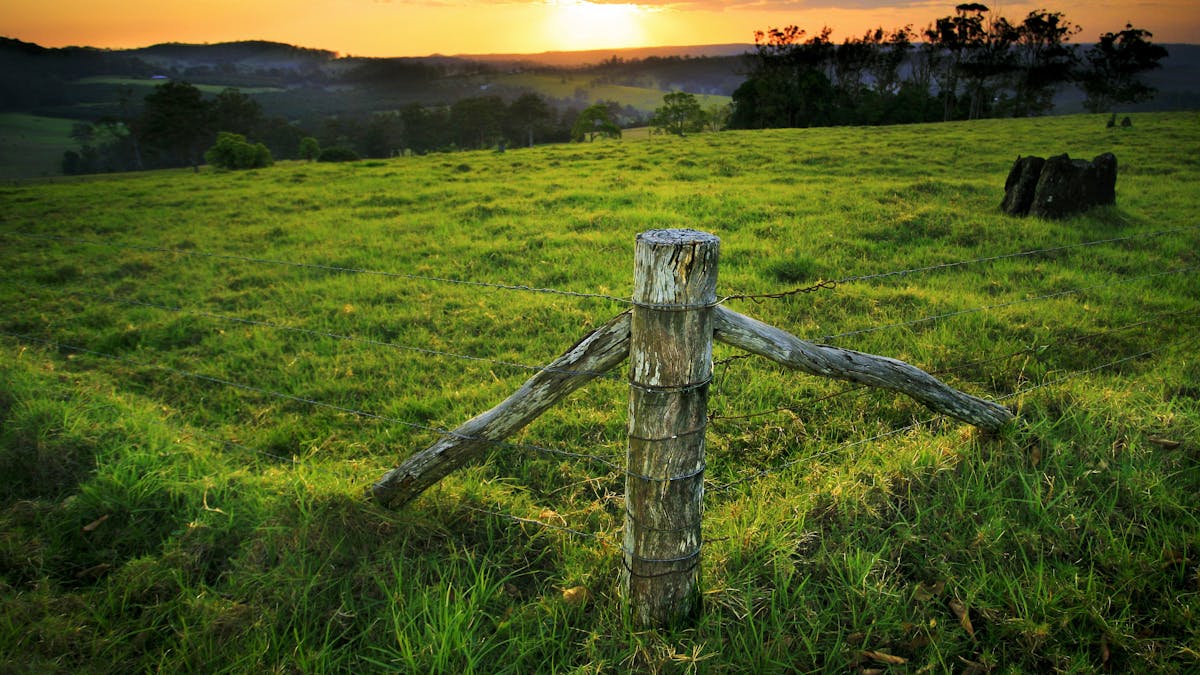 Field, Ravensbourne