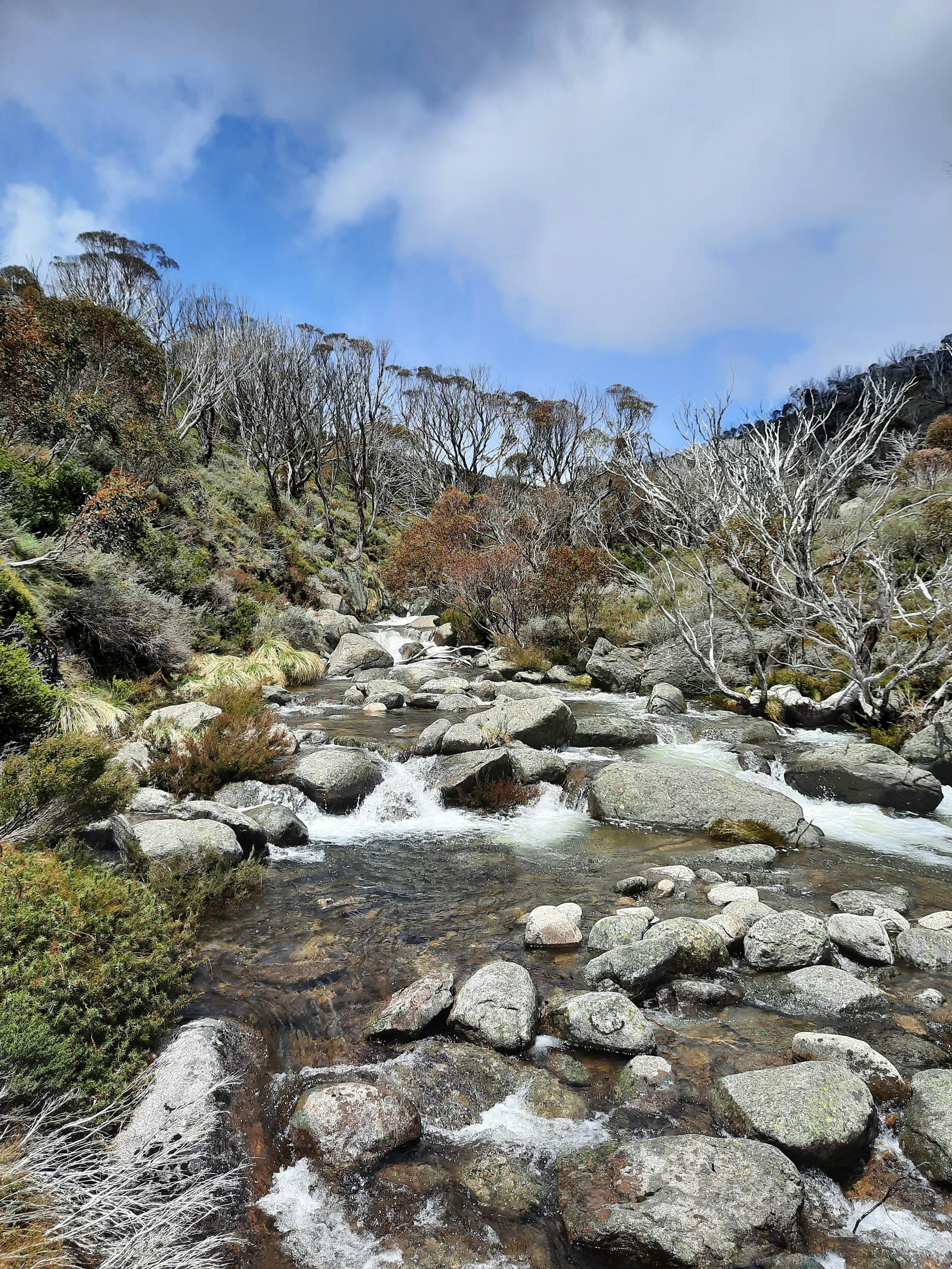 Thredbo River