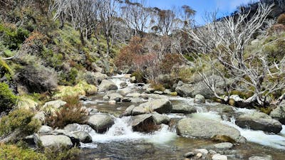 Thredbo River