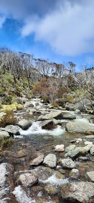 Thredbo River