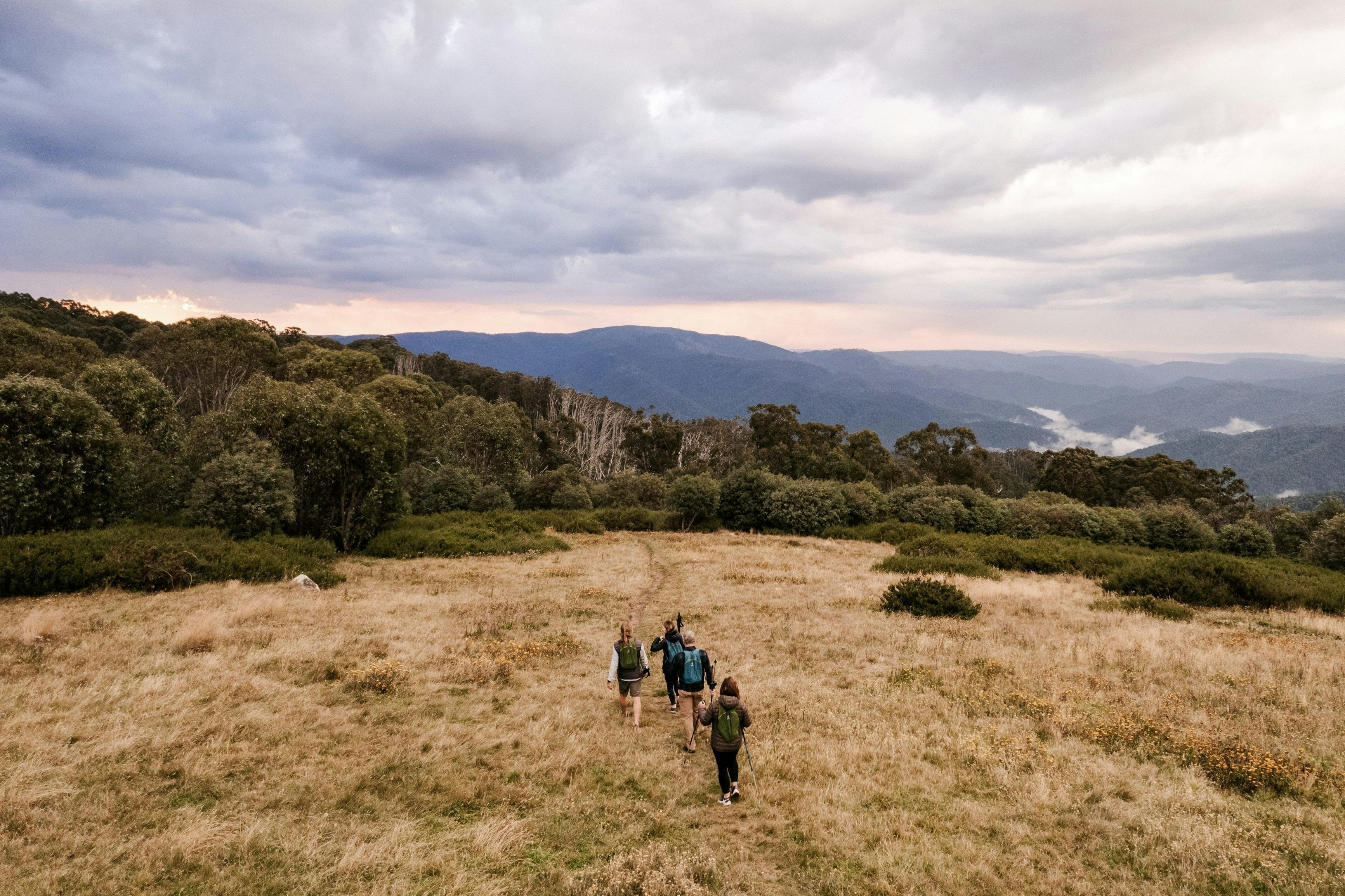 People walking in grassy clearing