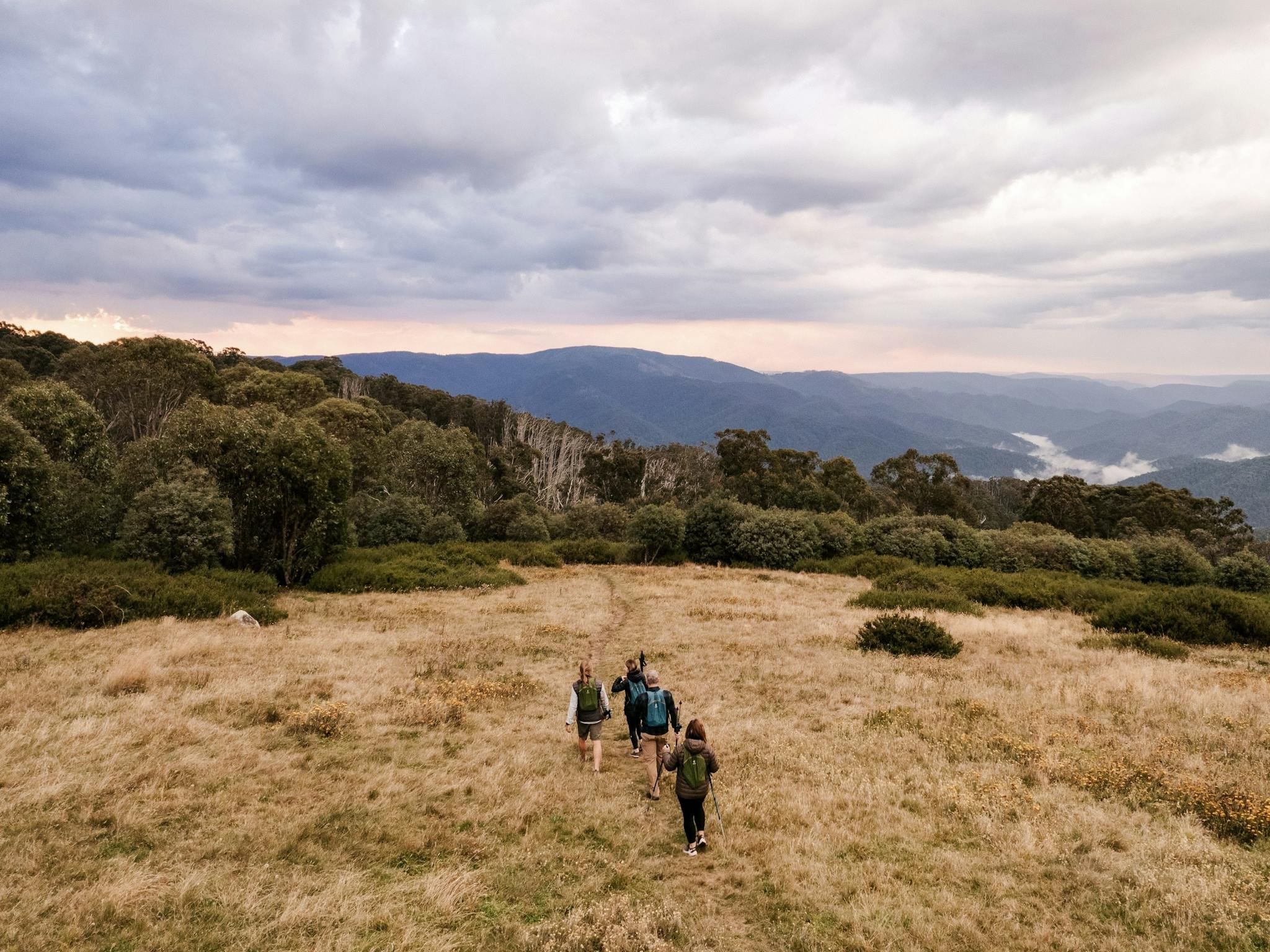 People walking in grassy clearing