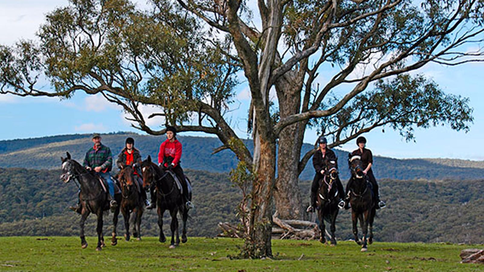 Uncle Nev's Trail Rides