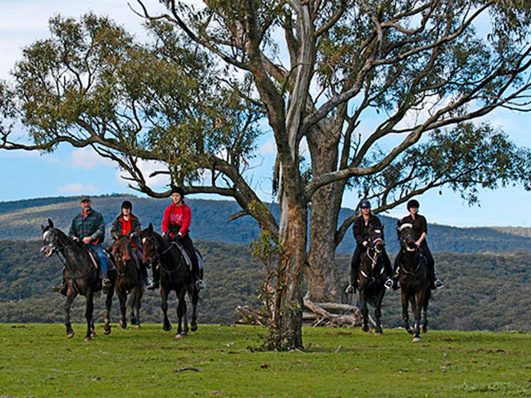 Uncle Nev's Trail Rides