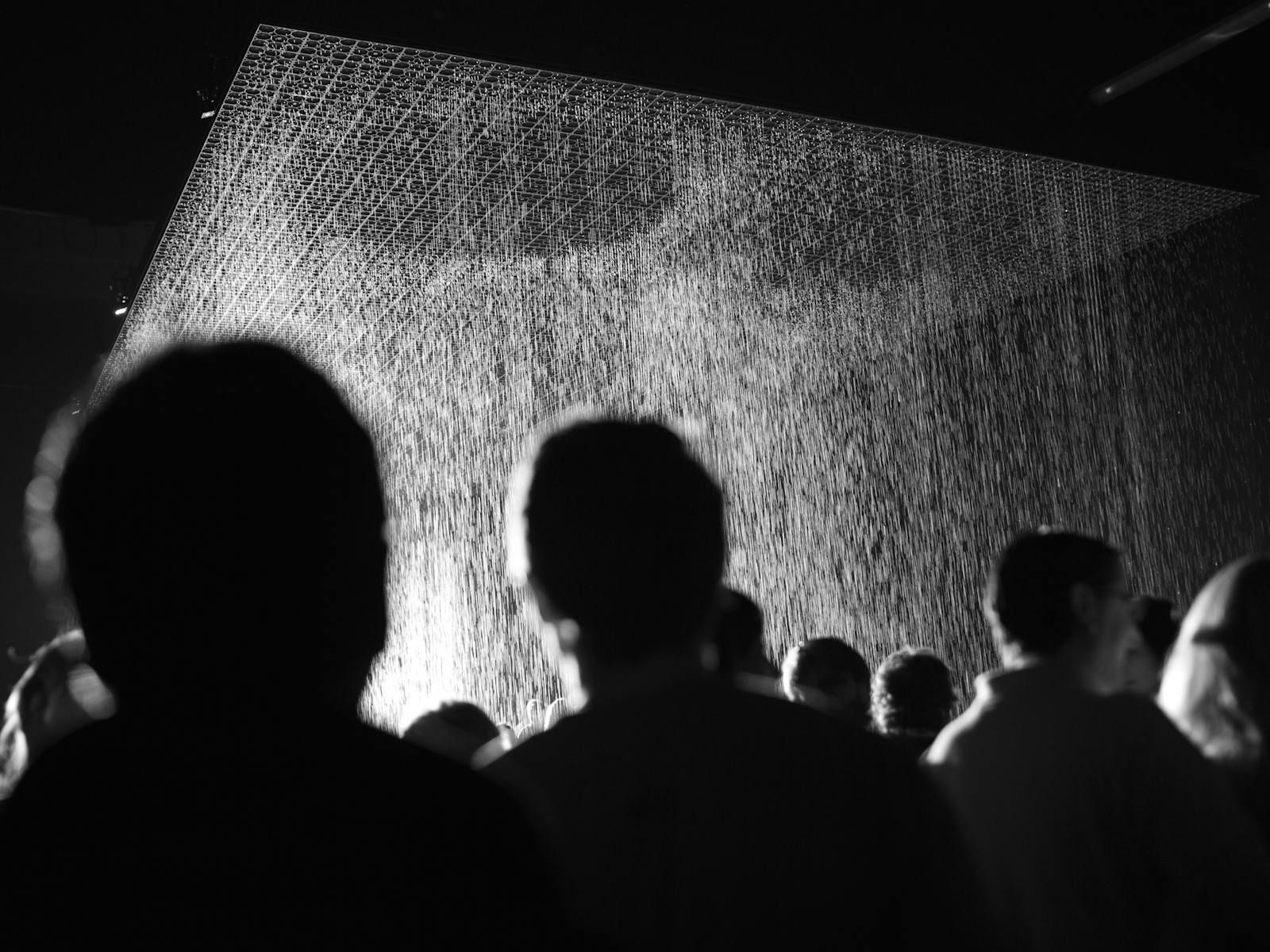 Image for Rain Room