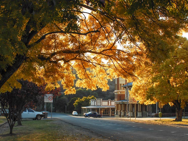 Carcoar