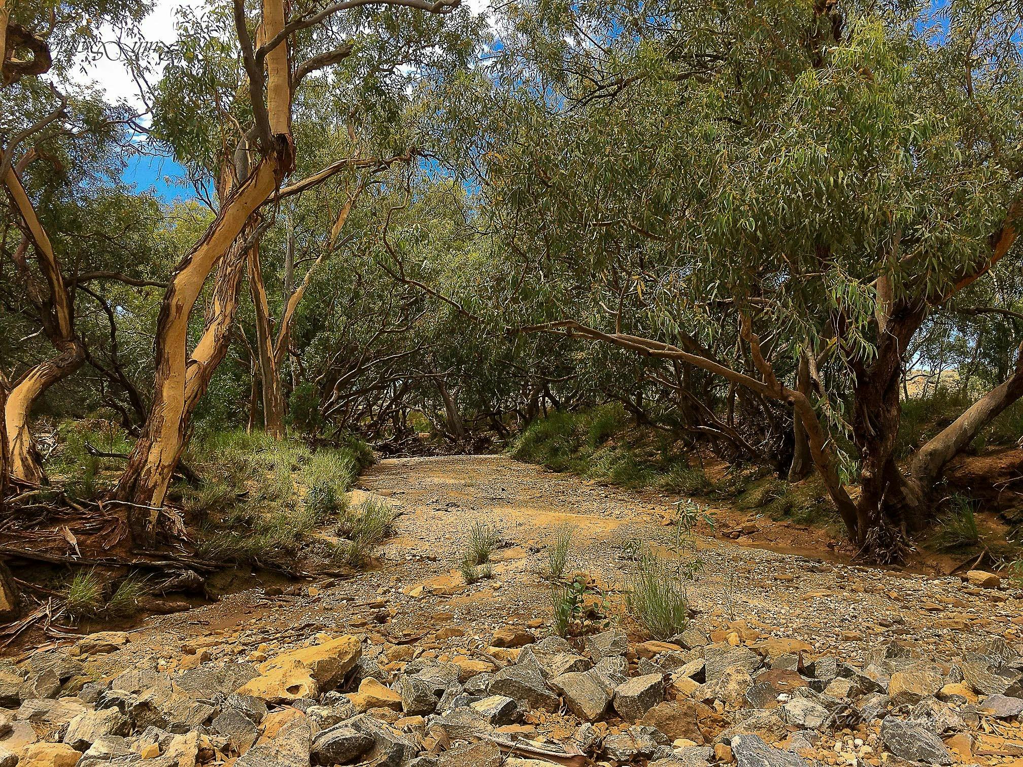 Walking is only allowed in certain areas.  Please check