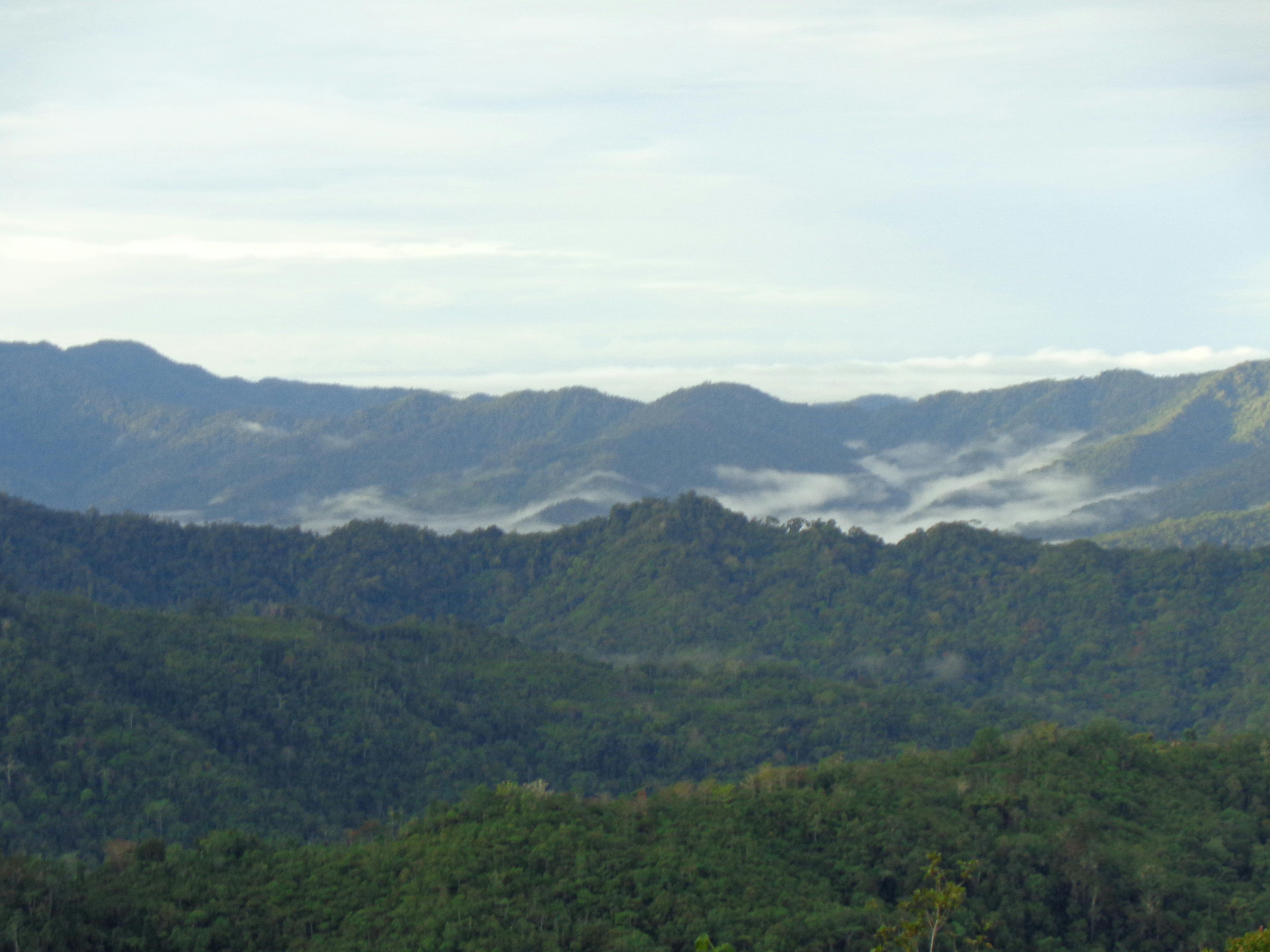 View across The Owen Stanley Ranges as seen fro The Kokoda Trail