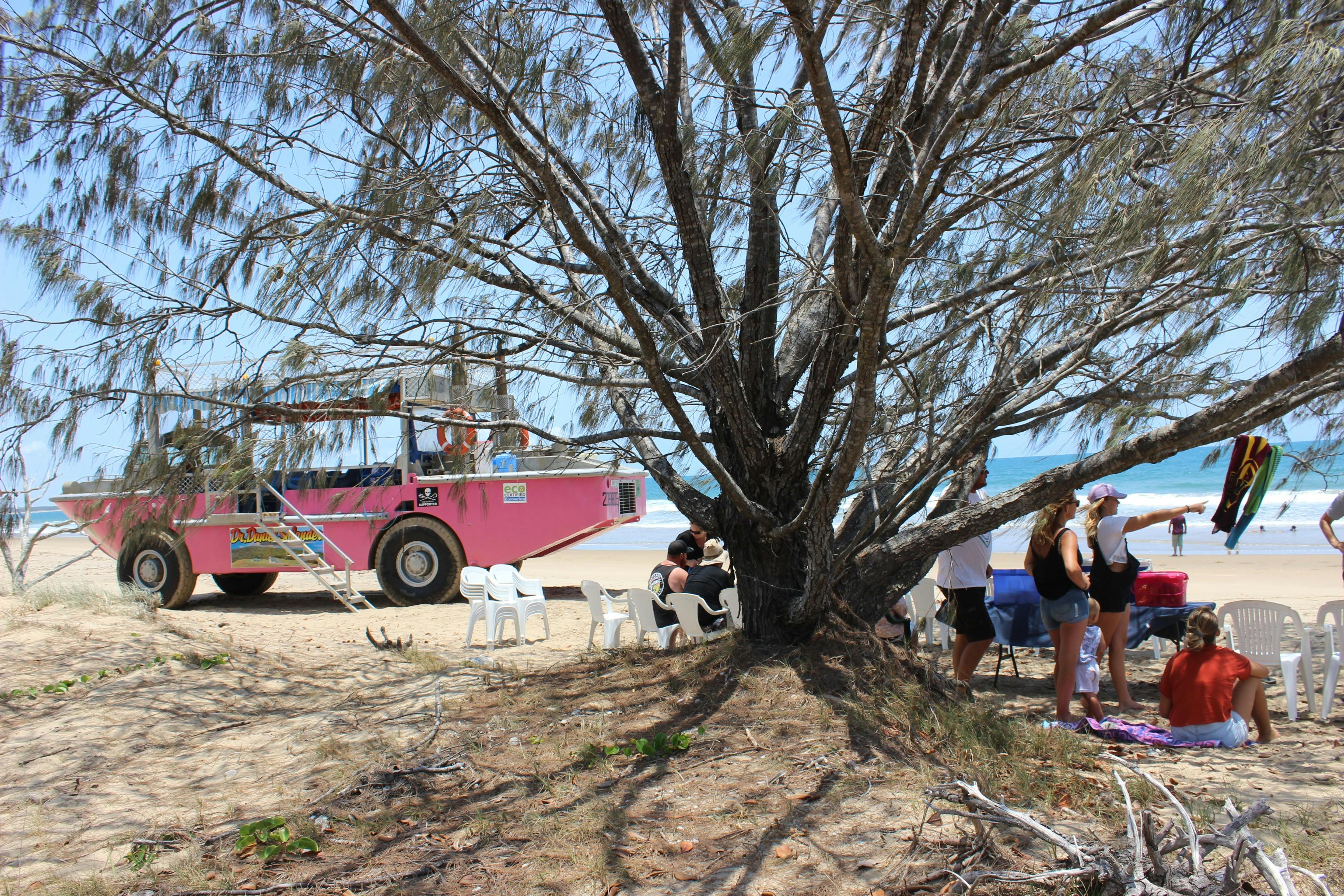 Pink amphibious vehicle parked on the beach, people in picnic area under a tree.