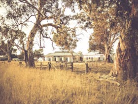 sustainable winery in an old renovated shearing shed, rainwater collection, solar power, composting