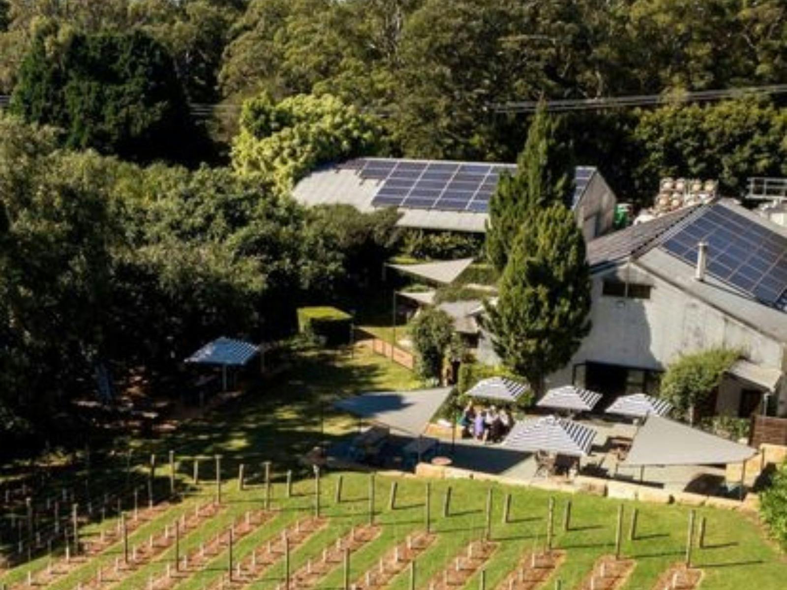 Witches Falls Winery and Cellar Door