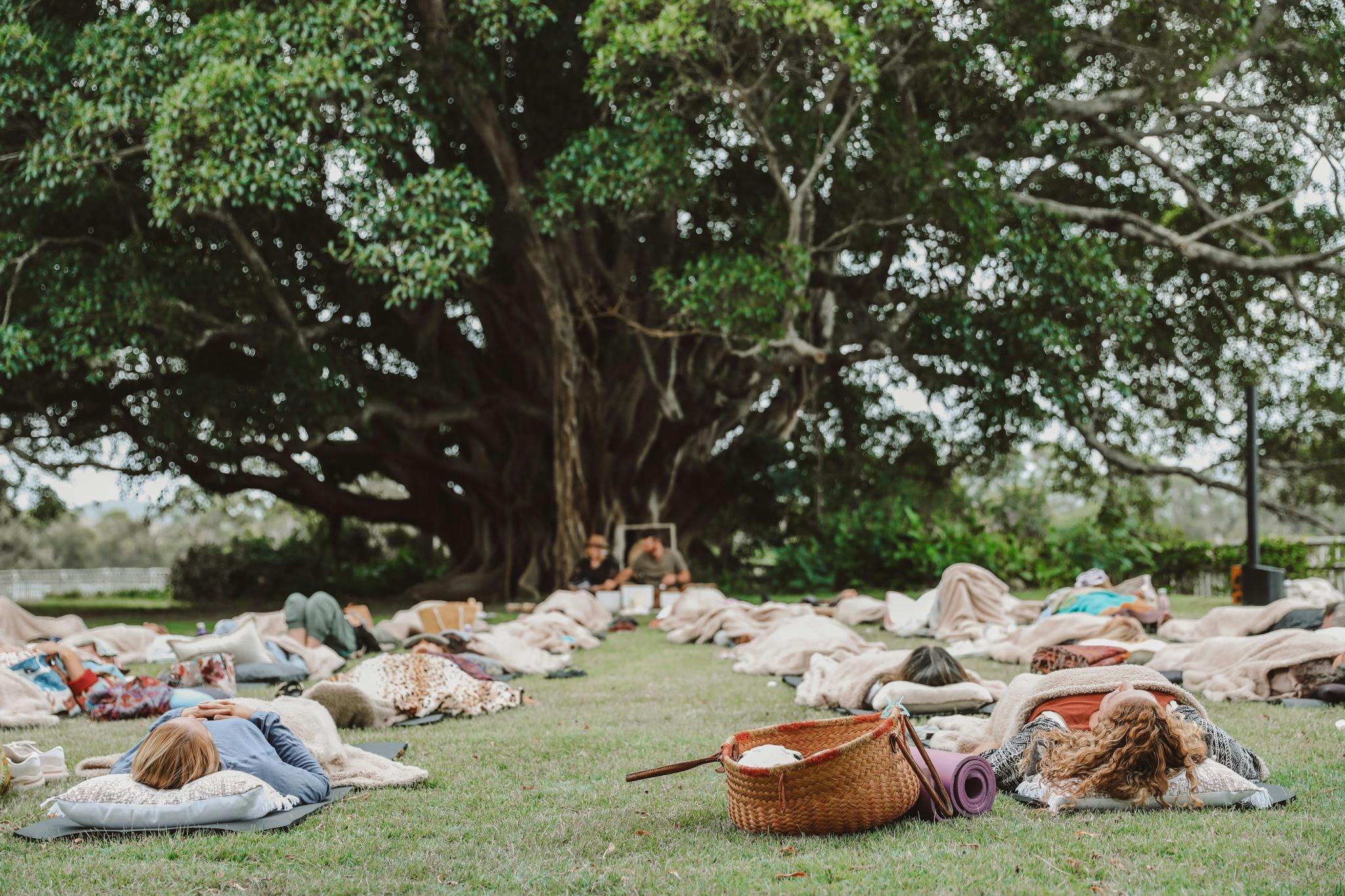 By the Banyan Tree - Twilight Sound Meditation