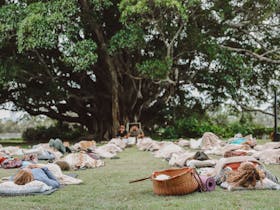 Sound Bath and  Meditation by the Banyan Tree Cover Image