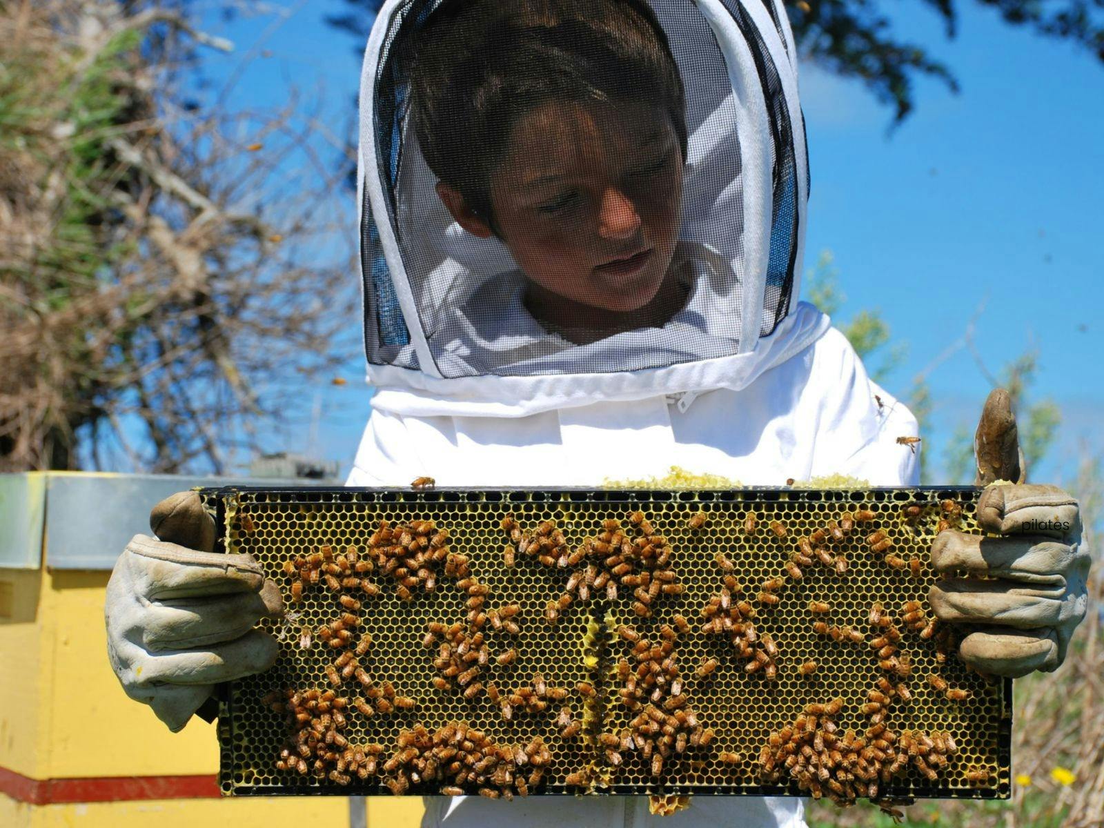Farm Kids - Busy Bees Workshop
