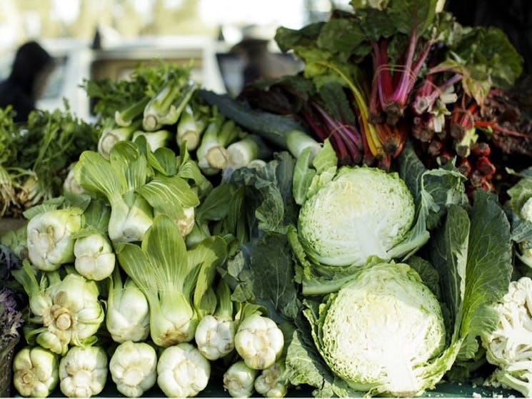 Dubbo Farmers Market