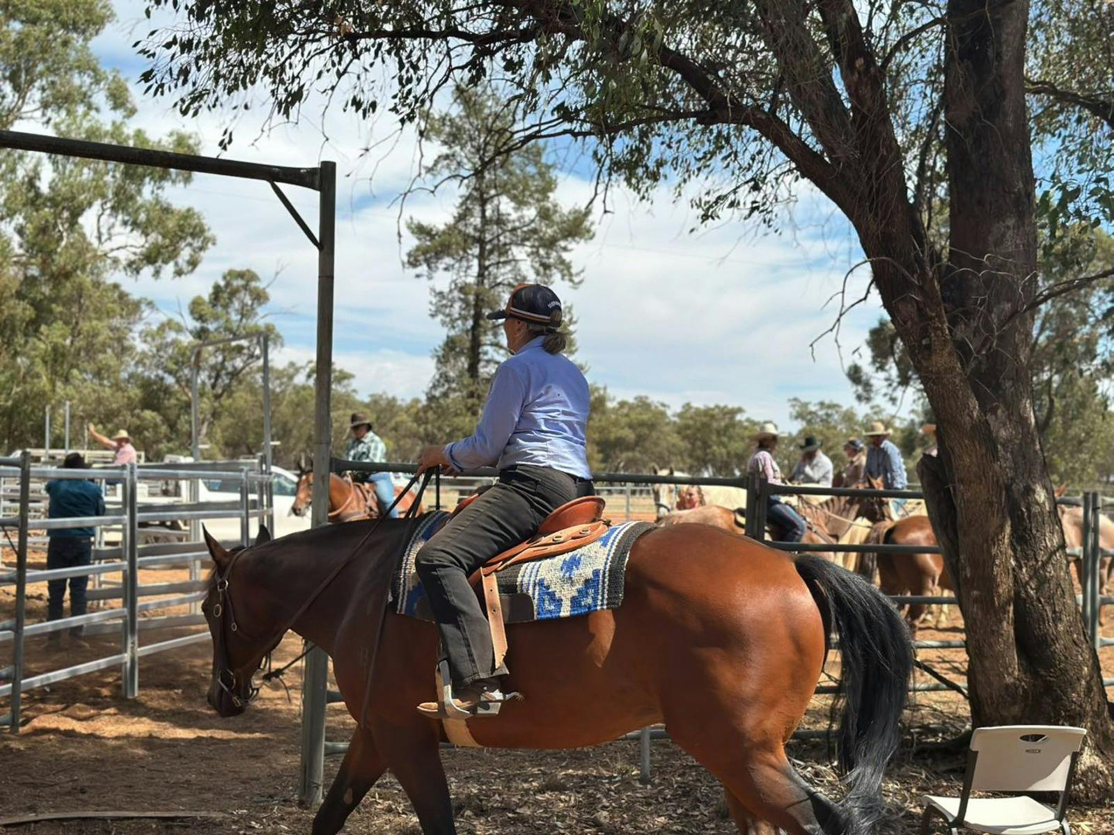 Horserider in team cattle sorting at the Barellan Masters Games