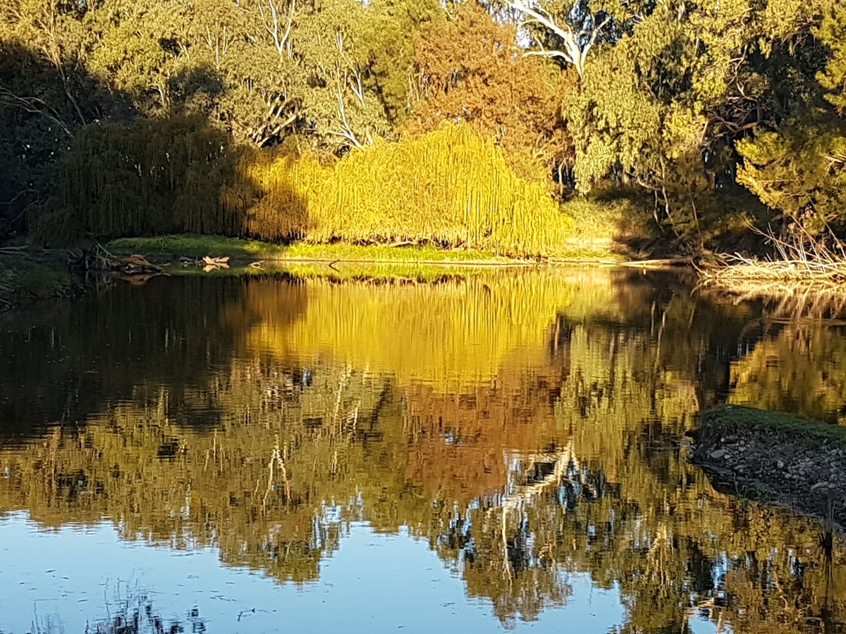 REFLECTIONS AT THE GREAT DIVIDE