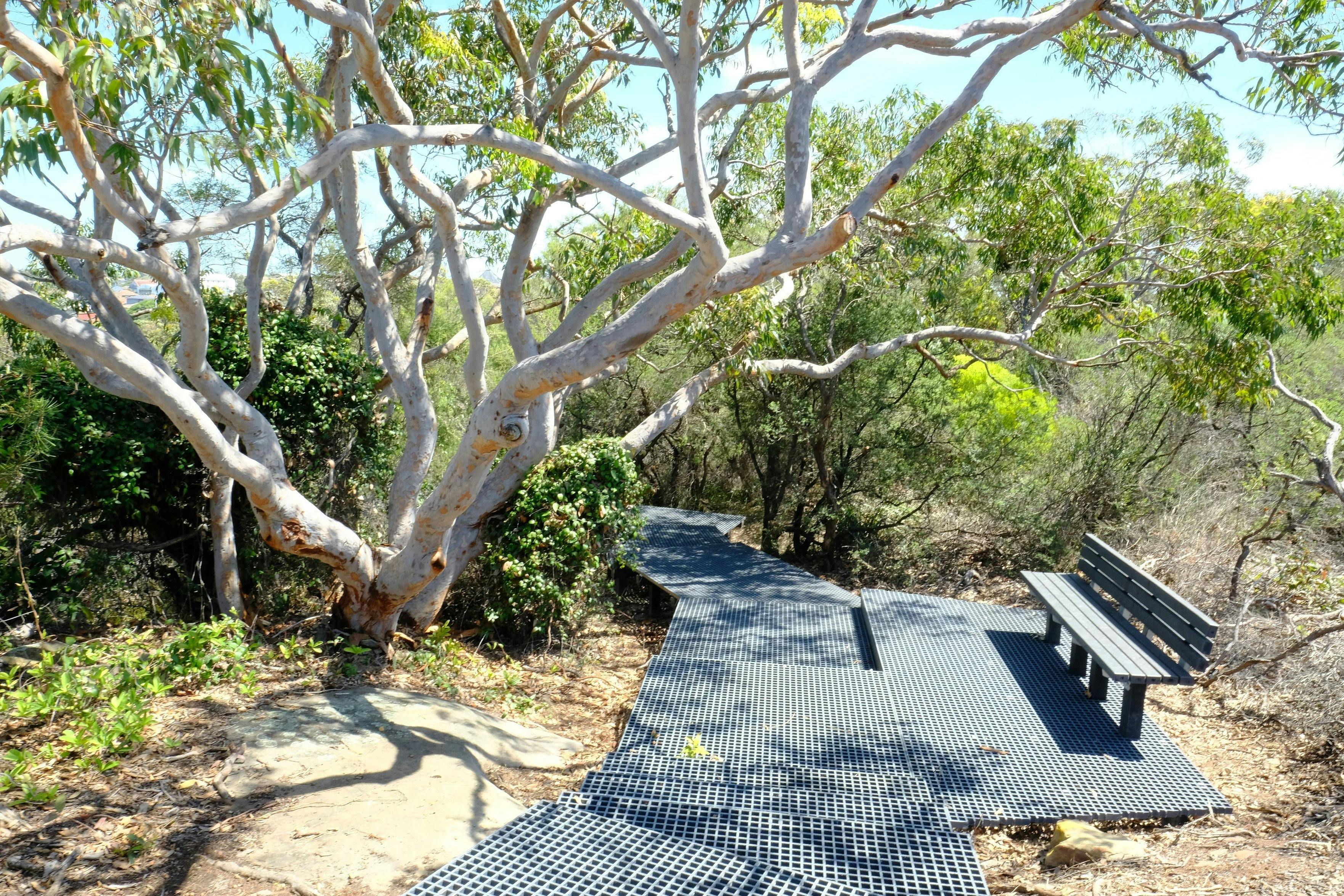 Malabar Headland National Park Western Escarpment Walking Track. Credit: OEH NSW