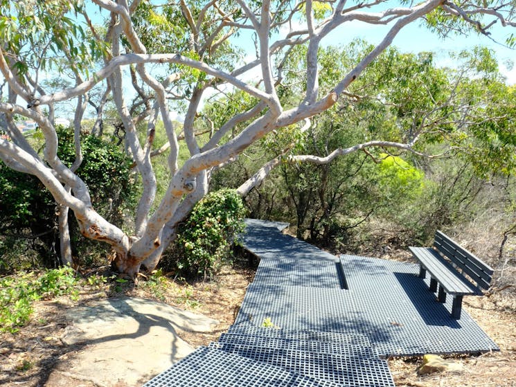 Malabar Headland National Park Western Escarpment Walking Track. Credit: OEH NSW