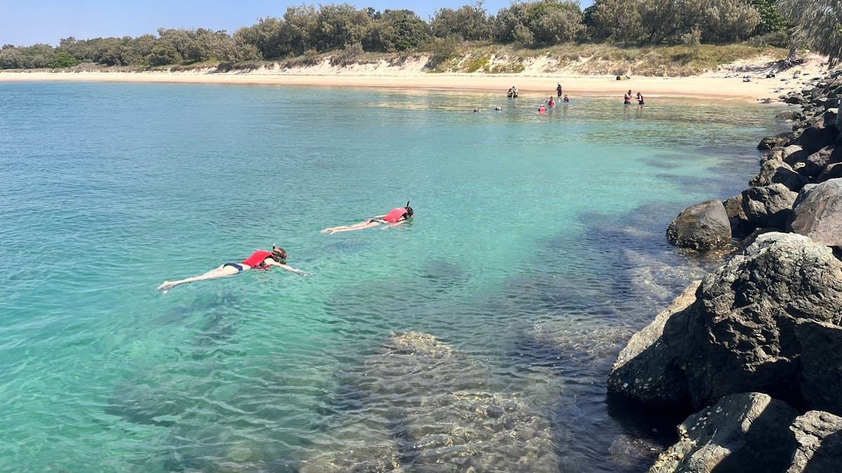 Snorkel close to shore at Wave Break Island’s reef—easy, fun, and full of colourful fish!