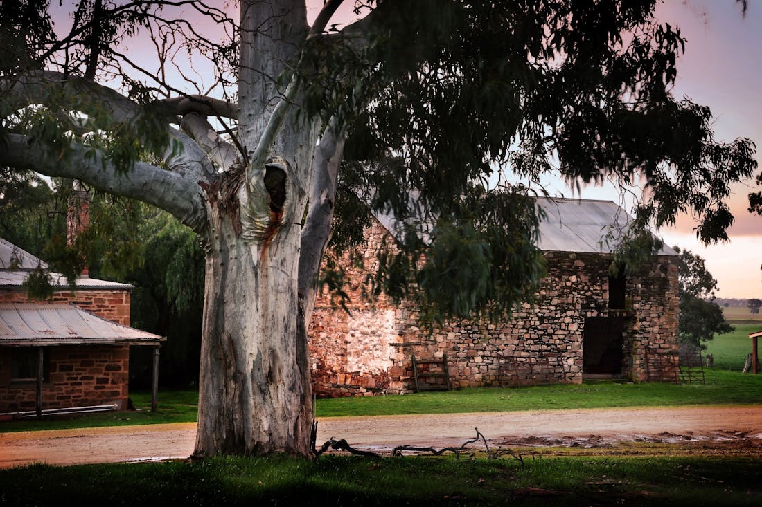 Jaeschke's Ystalyfera Historical Farmstead Tour Clare, Attracti...