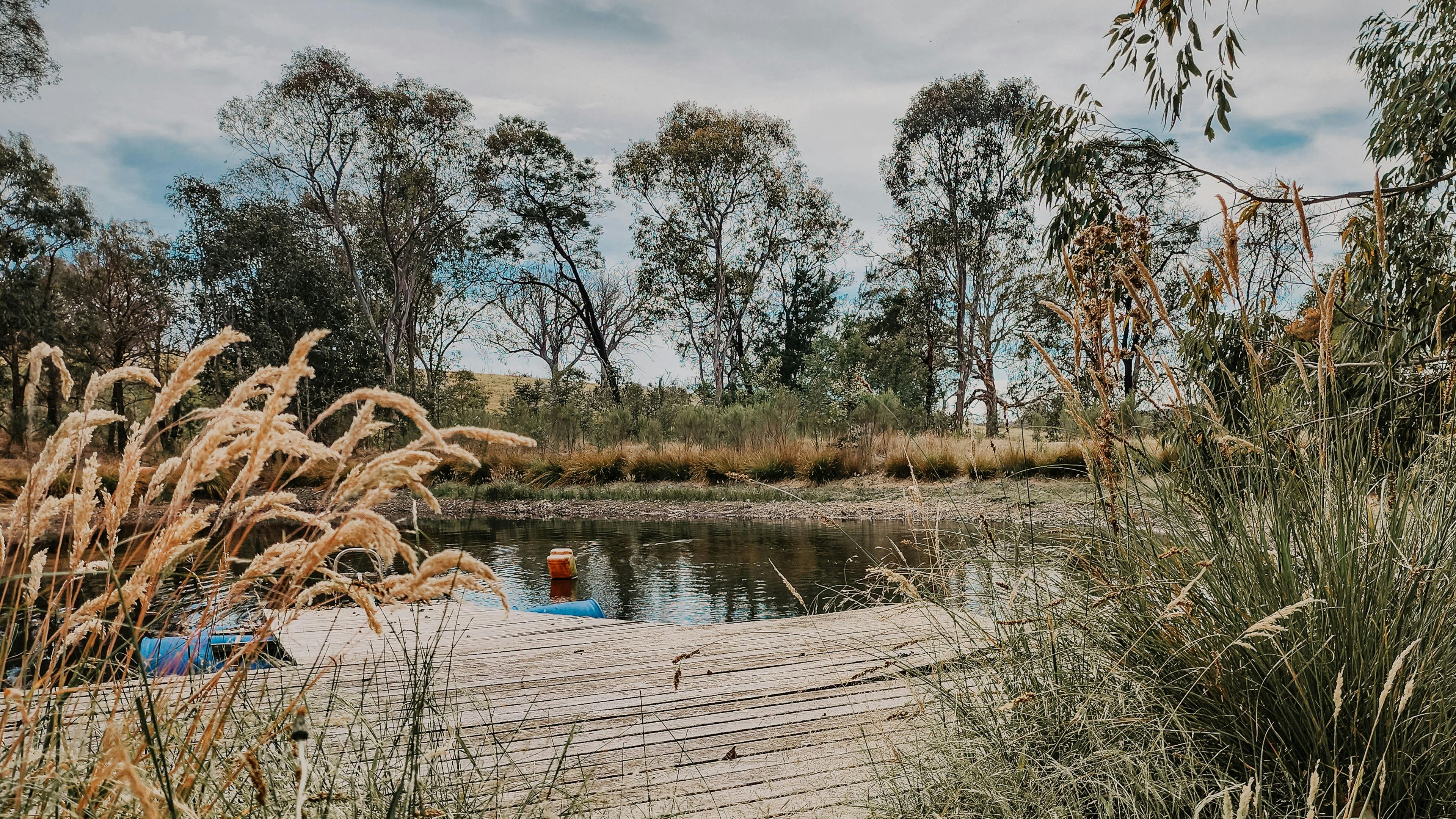 Wattle Run