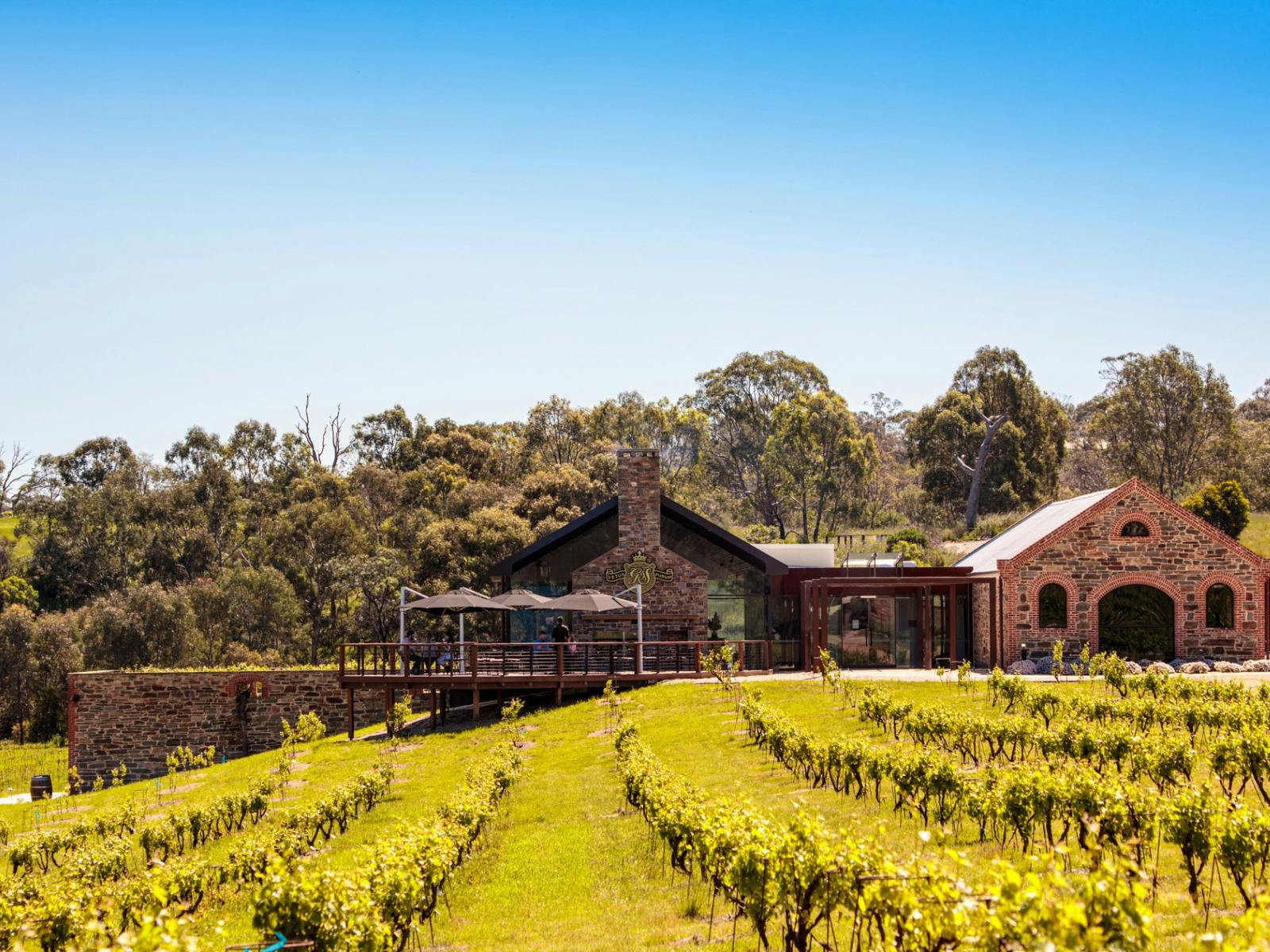 St Hugo Vineyard