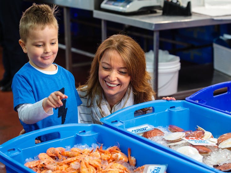 Mother and son looking at fresh seafood in buckets