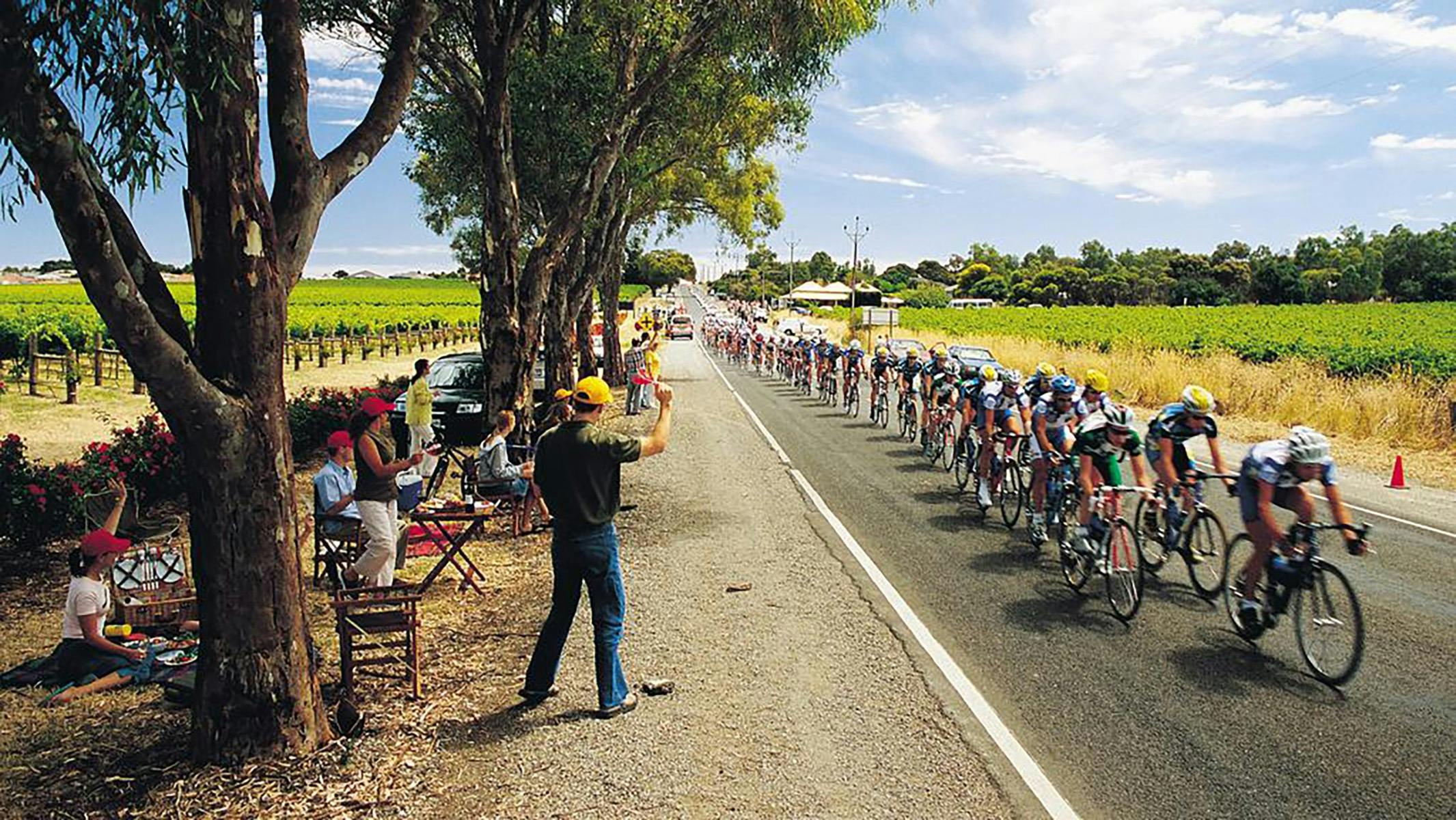 BikeRental.cc | Premium Road Bike Hire Adelaide