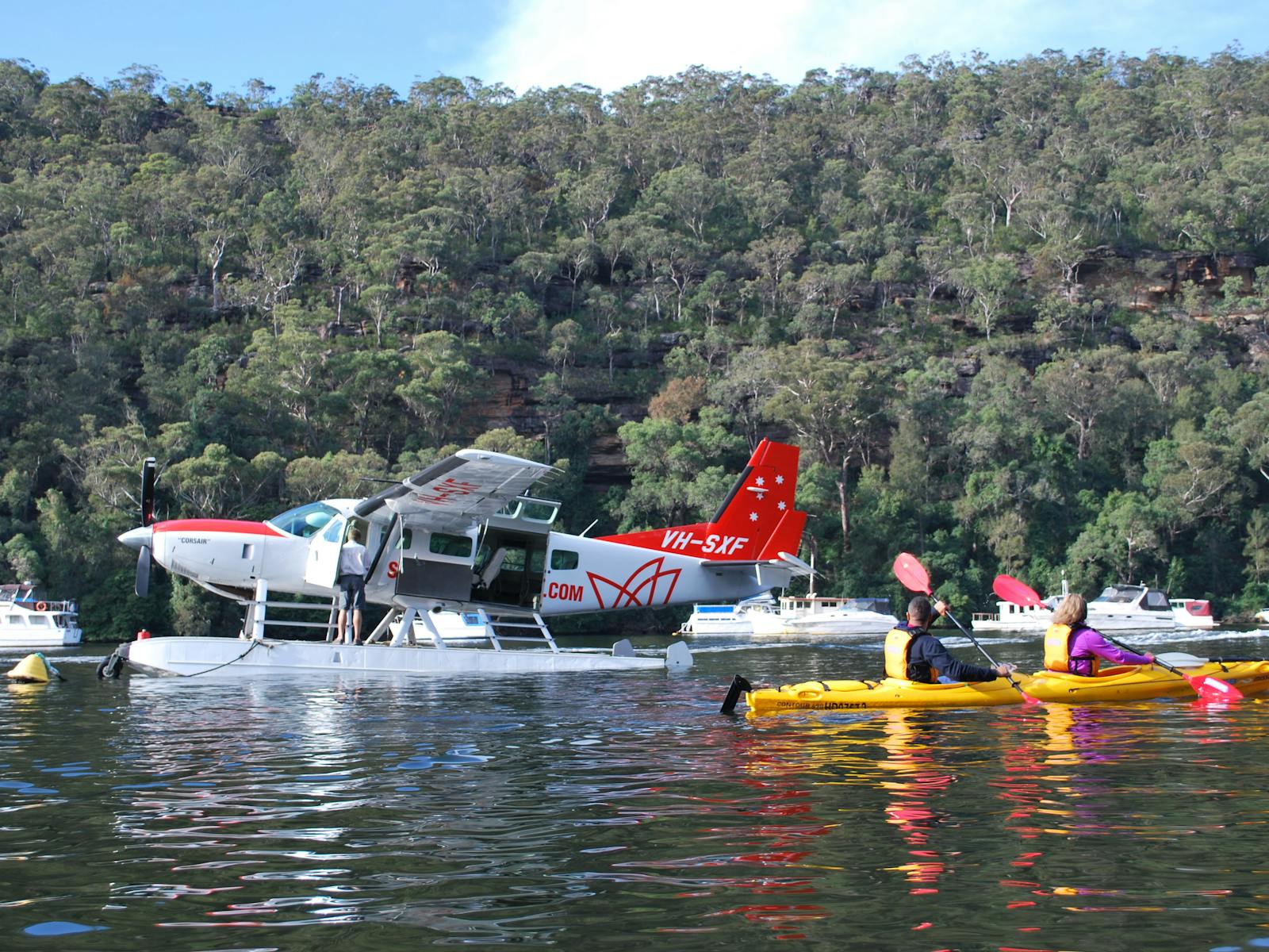 ホークスベリー川ガイド付きカヤック ツアー (サザン クロス カヤック付き)