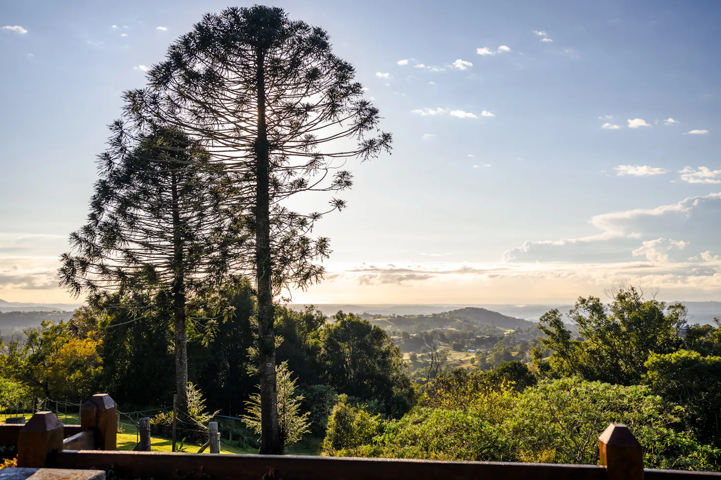 The morning at Flaxton Gardens