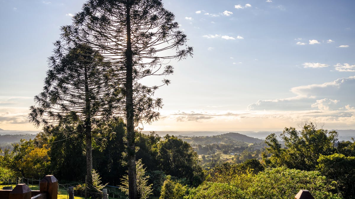 The morning at Flaxton Gardens