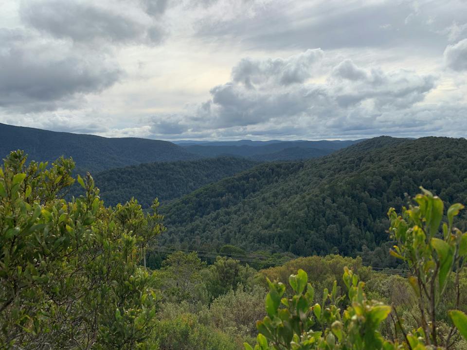 Whyte Hills Lookout photo
