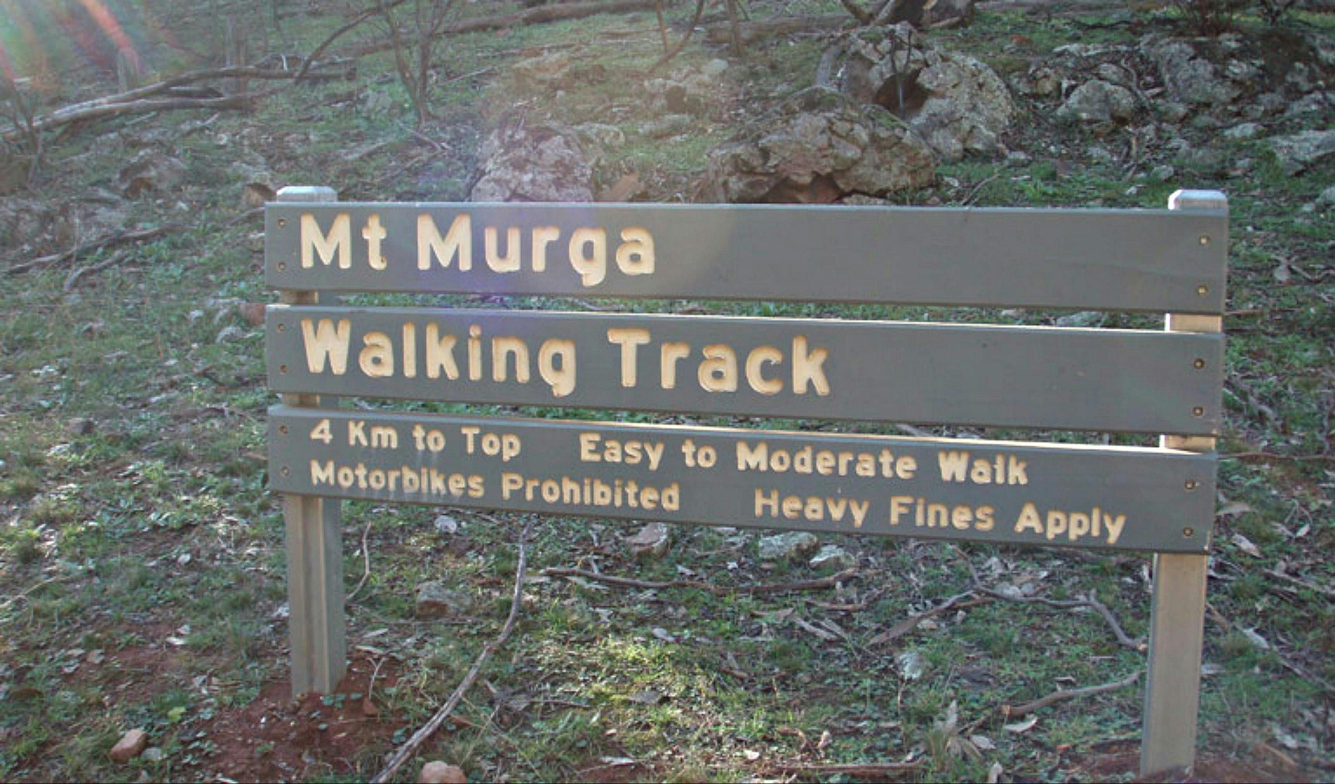 Mount Murga walking track, Nangar National Park. Photo: A Lavender/NSW Government