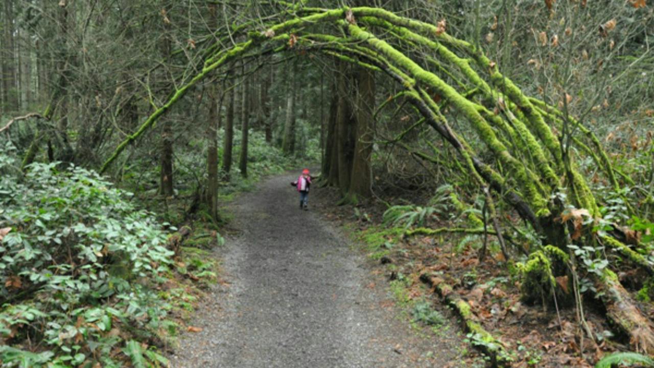 Bridle Trail