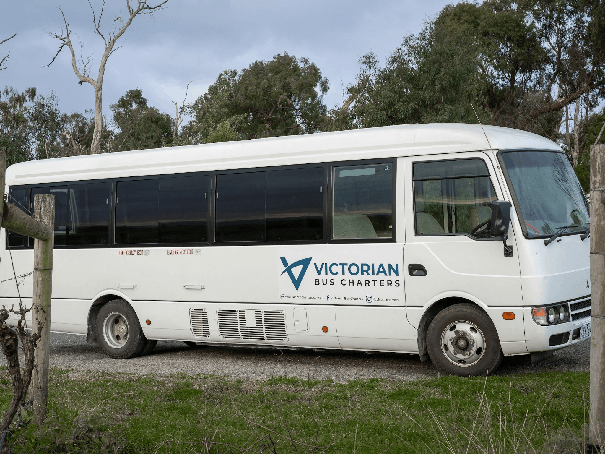 Most common size bus