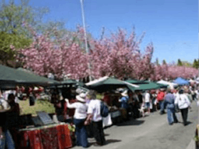 Blue Mountains Markets