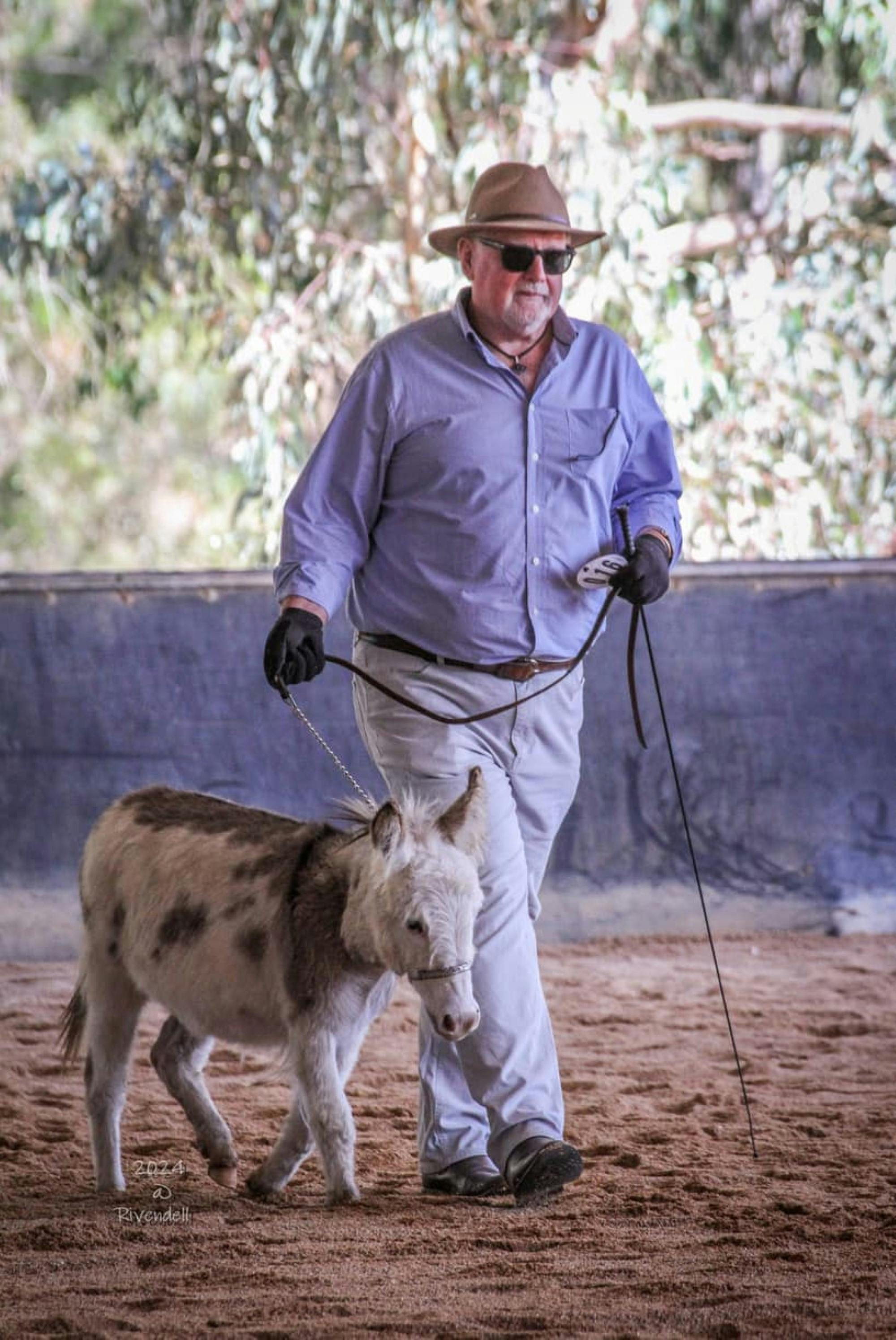 Man with donkey at the show