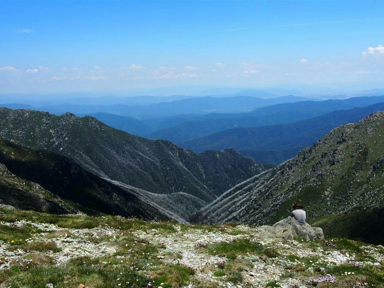 Snowy Mountain