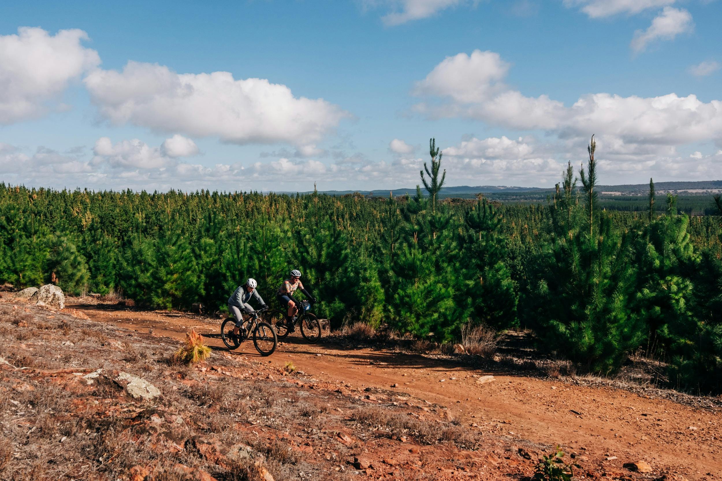 Riders at Ponderosa Pines in Mt Crawford