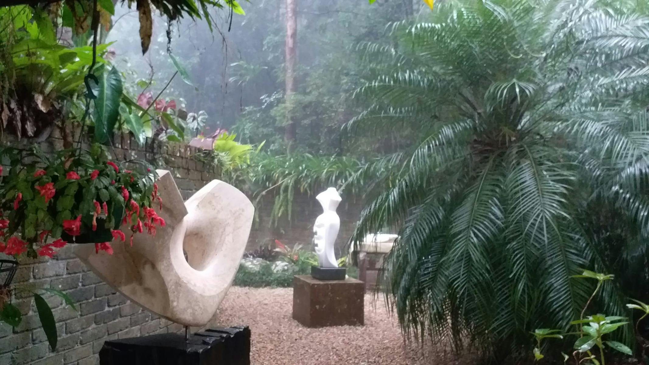 Get Lost in Art, Found in Nature: The Tawny Trails Journey