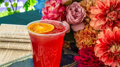 Colourful spring gin cocktail with orange garnish at the Underground Spirits Gin Garden, Floriade Ca