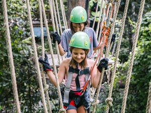 TreeTop Challenge Juniors - Sunshine Coast TreeTop Challenge Juniors - Sunshine Coast