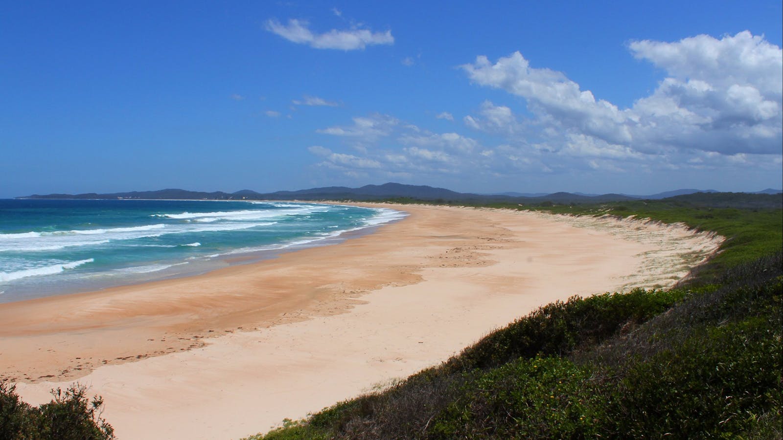 Wilsons Headland