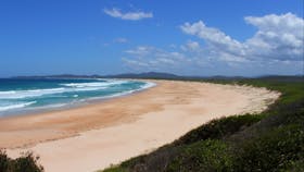 Wilsons Headland