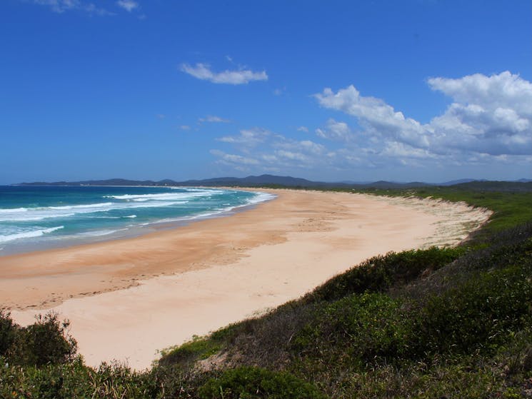 It’s a big beach that stretches around from Wilsons to Wooli.