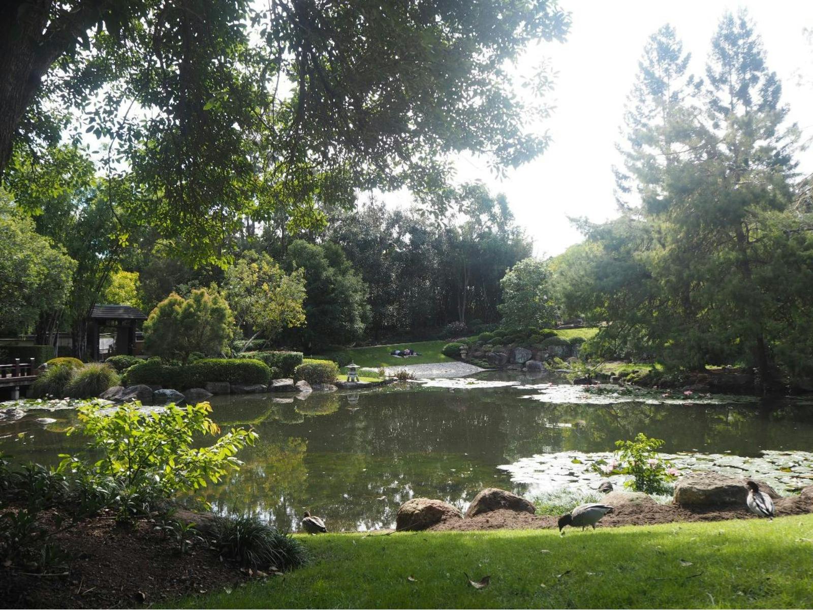 Nerima Japanese Garden