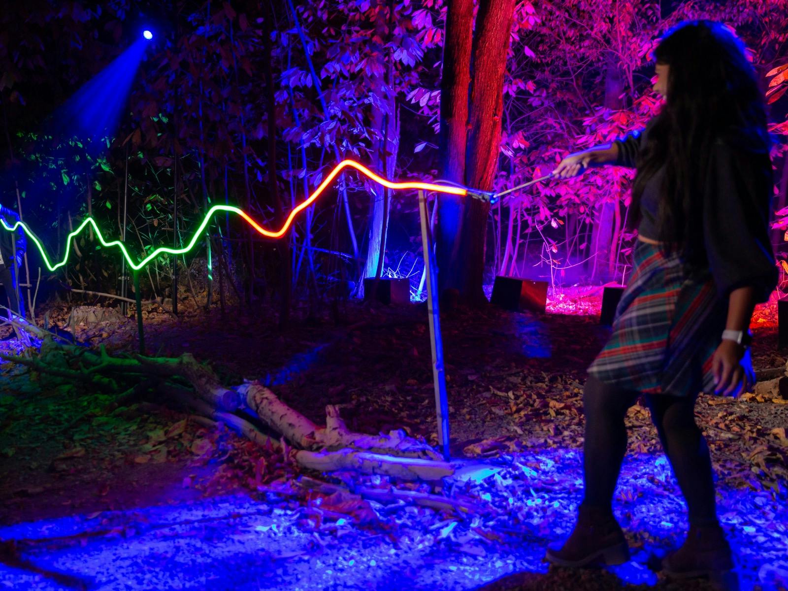 Harry Potter: A Forbidden Forest Experience