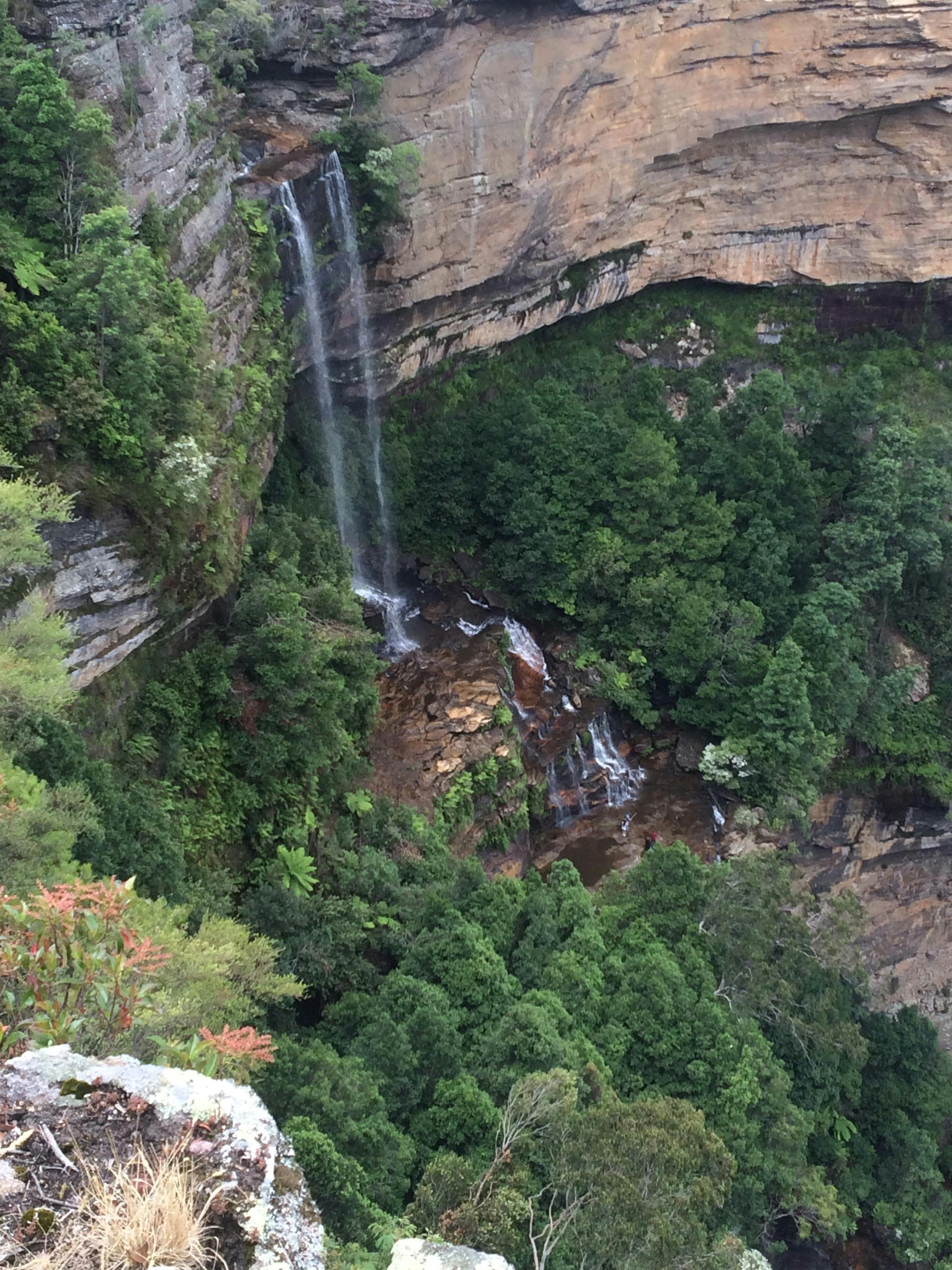 Rocks to Rainforest eco tour