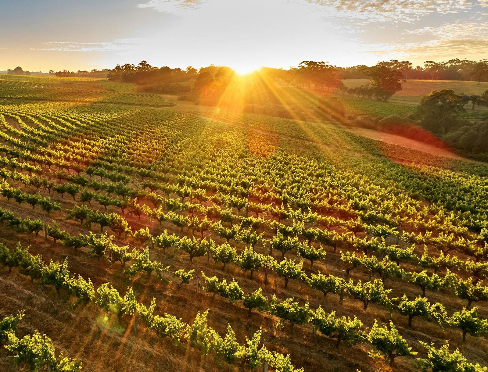 AAT Kings Guided Holiday, Perth, Western Australia